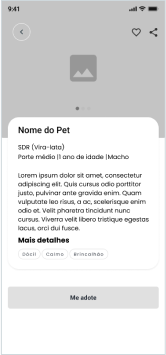 Wireframe Detalhes do pet